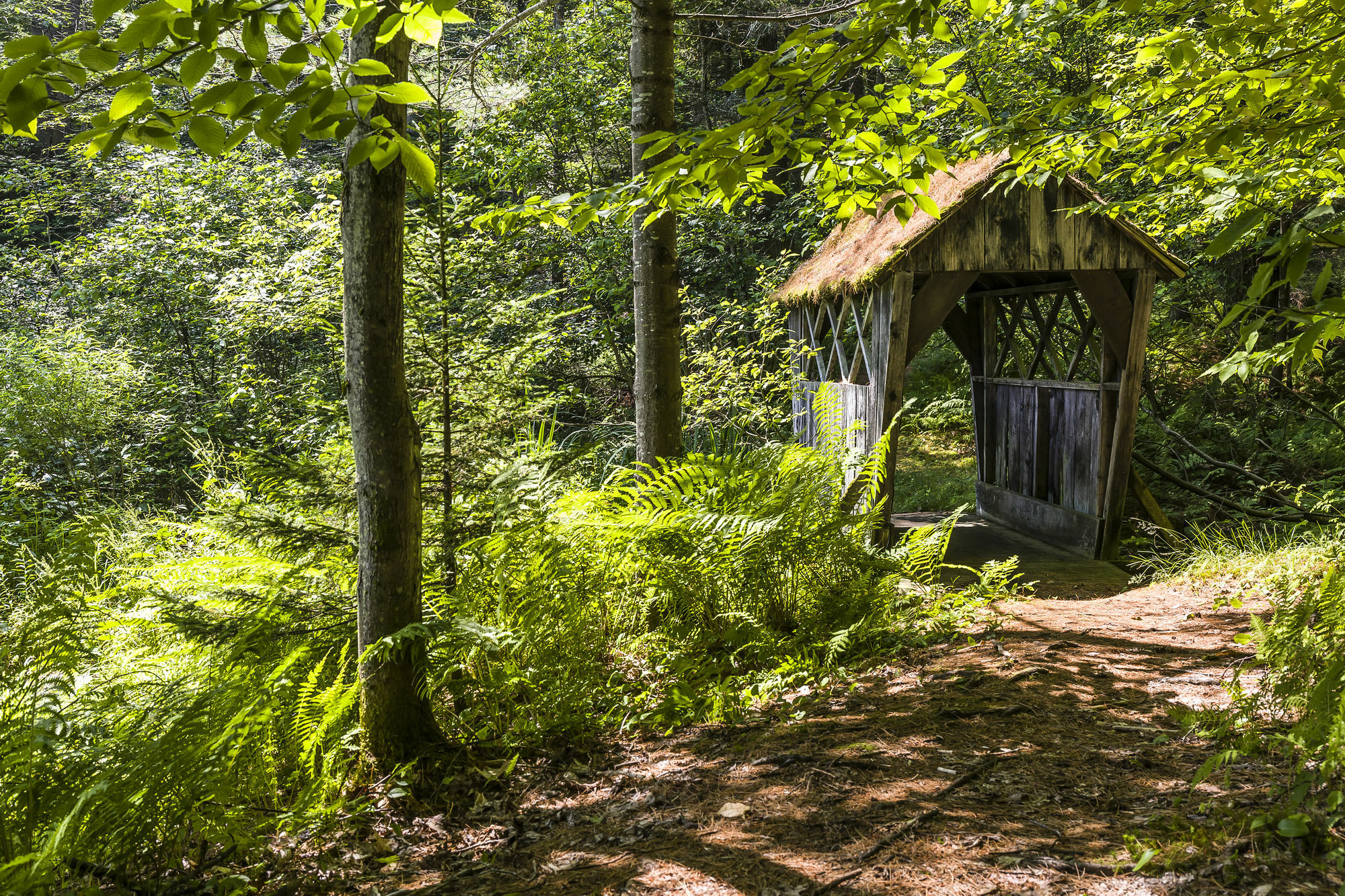 Bluebird Cady Hill Lodge Stowe Εξωτερικό φωτογραφία