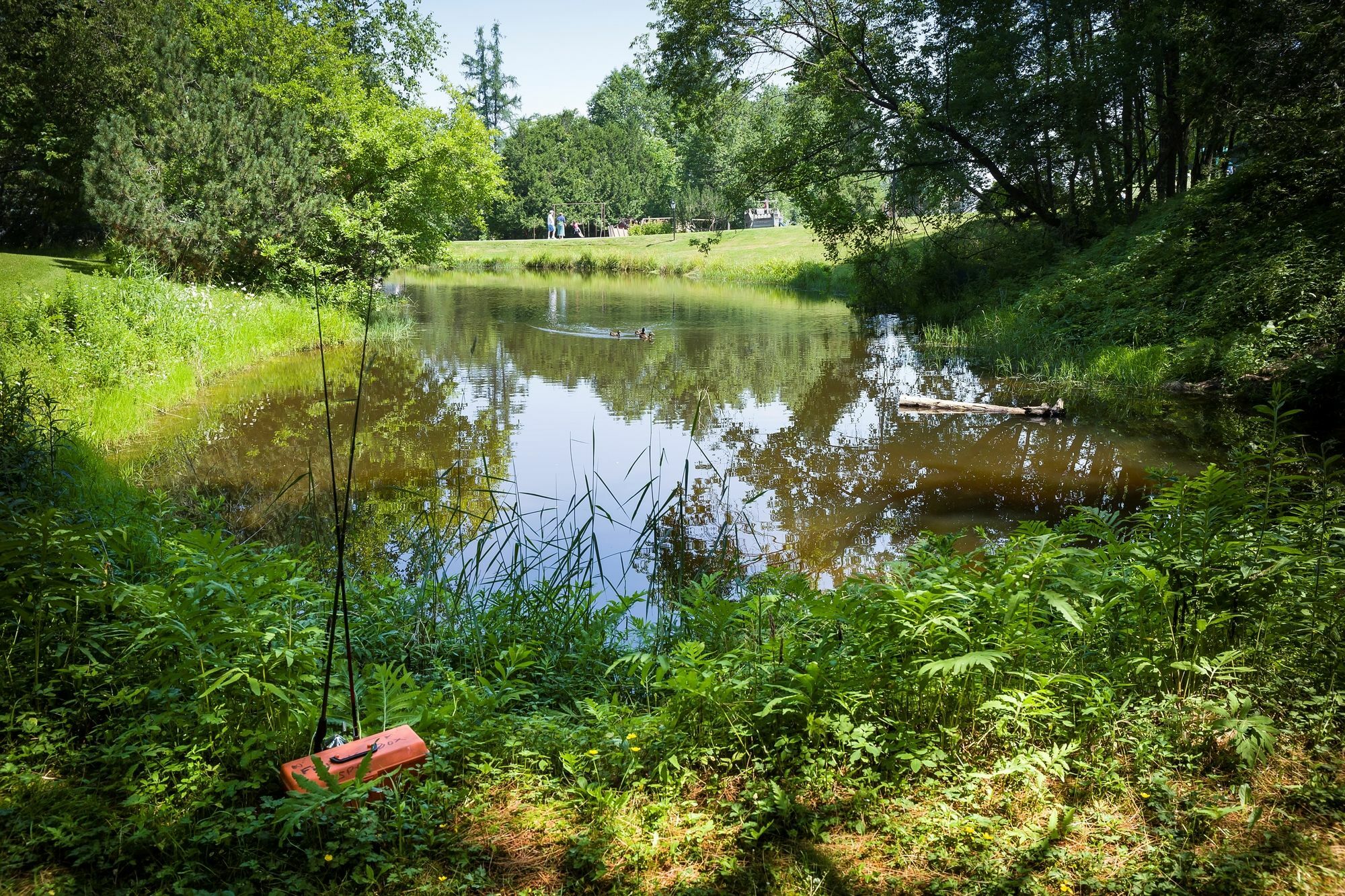 Bluebird Cady Hill Lodge Stowe Εξωτερικό φωτογραφία