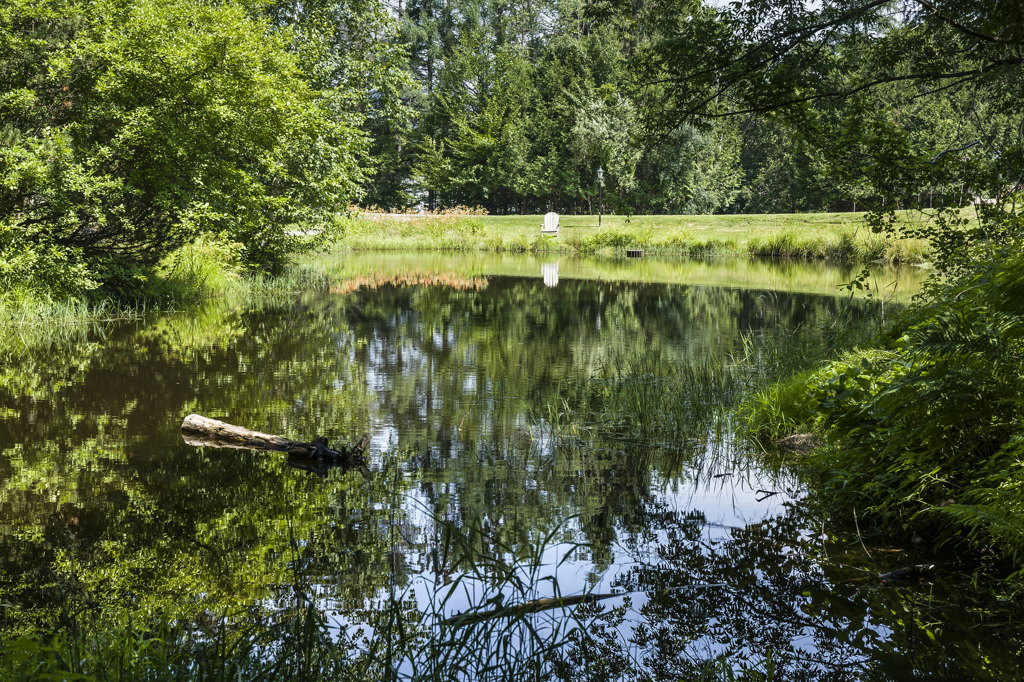 Bluebird Cady Hill Lodge Stowe Εξωτερικό φωτογραφία